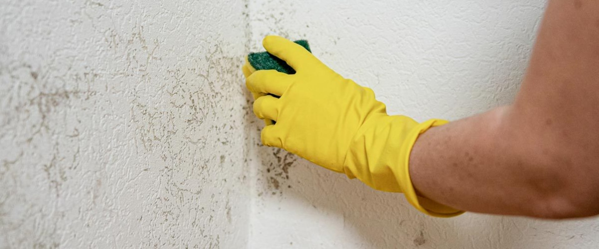 The Role of a 16×20×2 Filter in a Home With Mold Issues: What You Need to Know