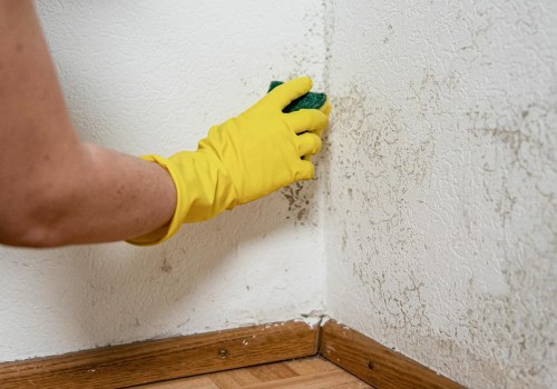 The Role of a 16×20×2 Filter in a Home With Mold Issues: What You Need to Know